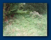 That's more like it (Way in to Colin at TX C)